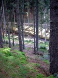 Blick zurück