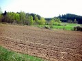 Rundherum Felder