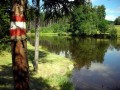 Teich