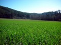 Im Kamptal