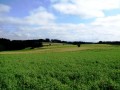 Bei Voitschlag
