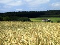 Bei Voitschlag