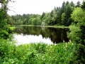 Waldteich
